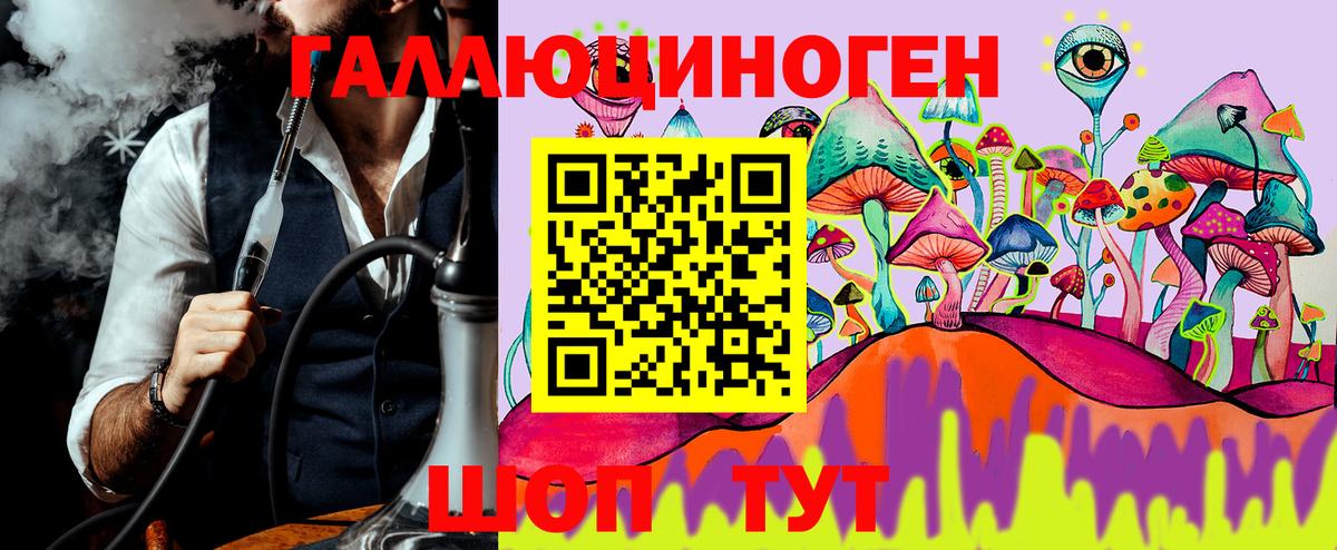 Псилоцибиновые грибы Psilocybe Уссурийск